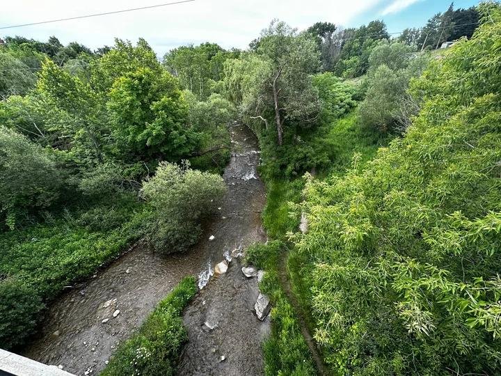 Ravine Mills Neighborhood 3